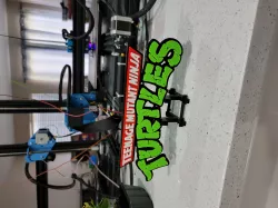 TMNT Toon Logo Magnet Display Teenage Mutant Ninja Turtles