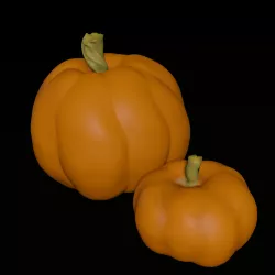 Two pumpkins. Realistic pumpkin.