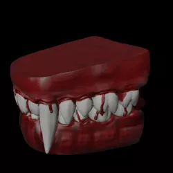 Vampire Dental Teeth