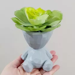 Vase Bob Geometric Low Poly Style Robert Plant