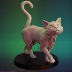 Wandering Kitty