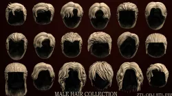 18 Male hair models