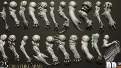 25 Creature arms 3D model ZTL+OBJ+STL