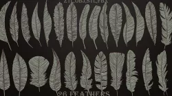 26 Feathers
