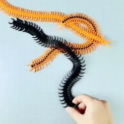 ARTICULATED CENTIPEDE