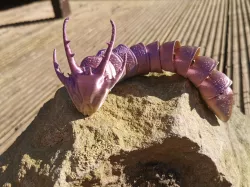 Articulated Dragon Headed Caterpillar