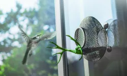 Bird Feeder 4.0