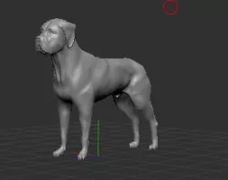 Boxer