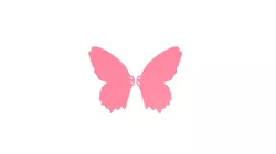 BUTTERFLY SHOE WINGS
