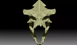 Carnotaurus Rex - Skull