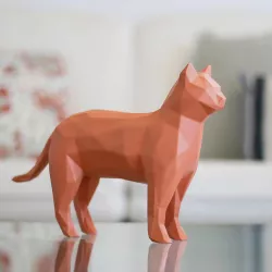 Cat Geometric