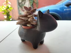 cat plant pot