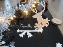 Christmas table name tag