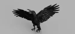 Crow