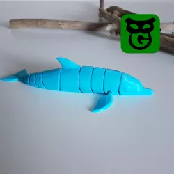 Dolphin Flexi