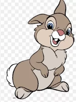 DRUM RABBIT - BAMBIE