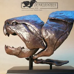 Dunkleosteus fossil