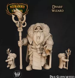 Dwarf Wizard