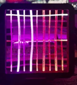 Fiberlamp