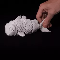Flexi fish