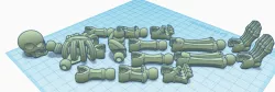 Flexi Skeleton