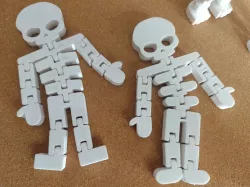 Flexi Skeleton