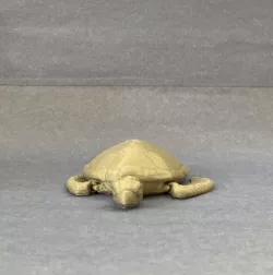 Flexi Turtle