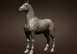 Free Horse 3d model