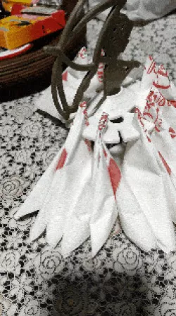 Lady Napkin holder for dining table  Miss napkin 😀