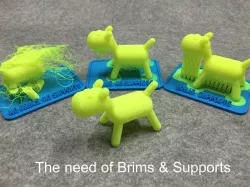 Learning tool of 3D printer with brims & supports