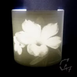 Lithophane Desert Rose