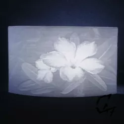 Lithophane Desert Rose v2