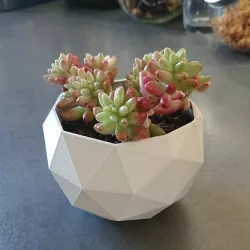 Low Poly Planter