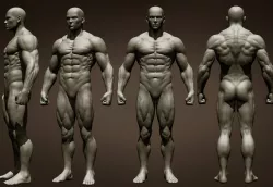 Male Full Body