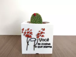 MEME FLORK VASO POTE PORTA TRECO 3 (VOCÊ ESCOLHE O QUE PLANTA)