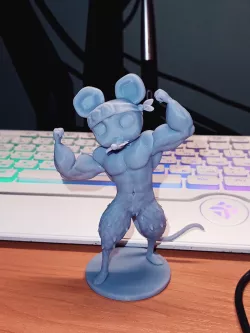 Mouse Muscles