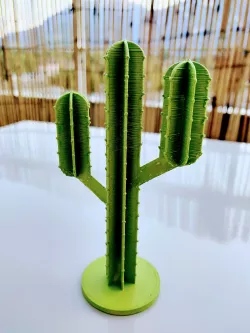 Office cactus