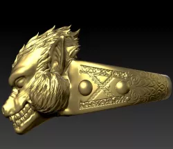 Ozaru ring / Ozaru ring