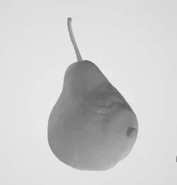 Pear Tits