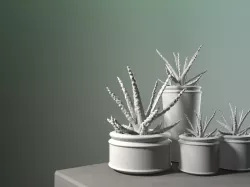Planter Pack #1
