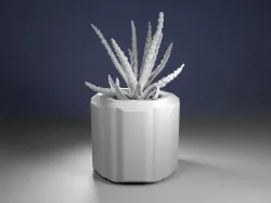 Planter Pack #3