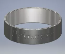 Promise/Engagement Ring