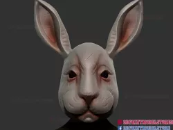 Rabbit Helmet