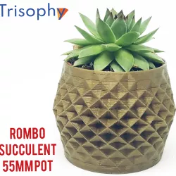 ROMBO - 55mm succulents plantpot