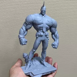 SAVAGE DRAGON
