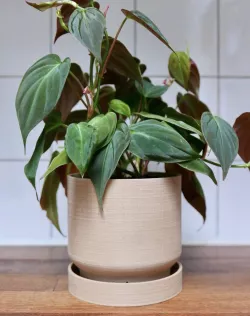 Self-aerating Planter