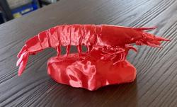 magnificent shrimp 3d models 【 STLFinder