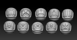 Silver Wardens Exterminatus Shoulder Pads and Tilt Shields