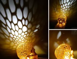 Skull lamp