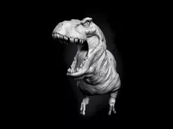 TRex